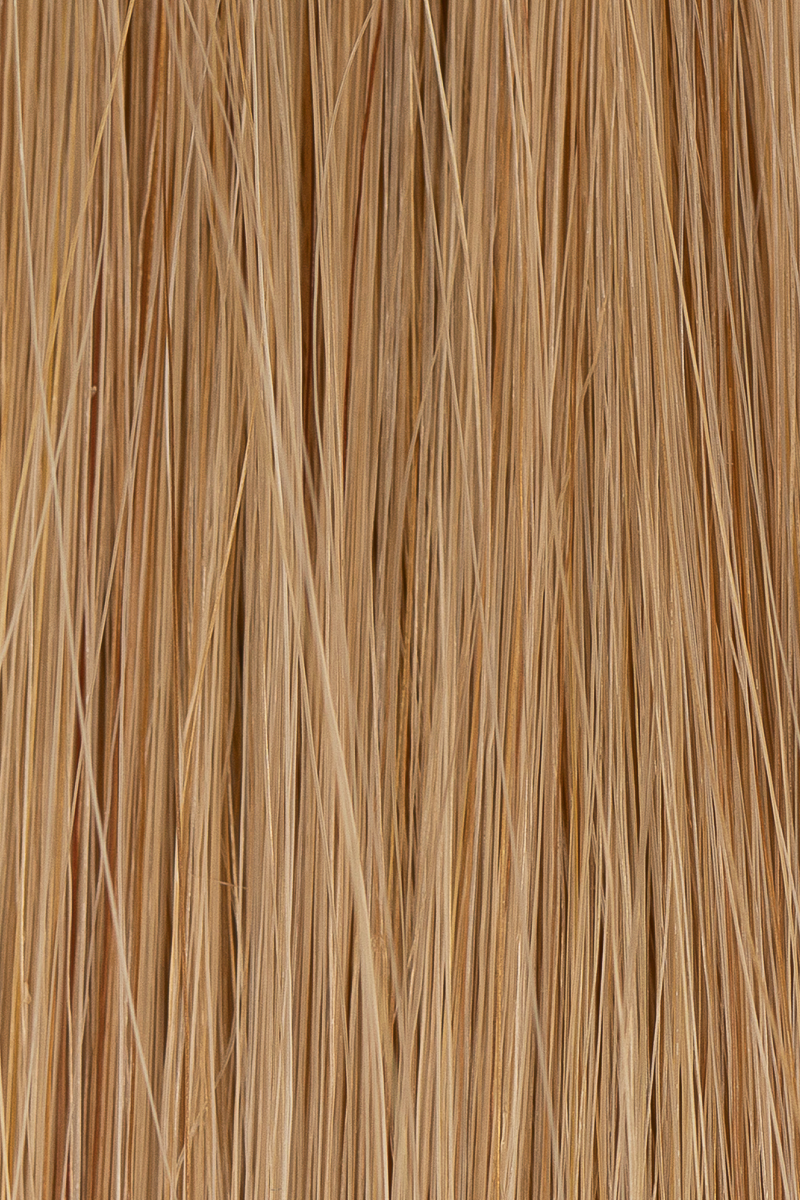 5Q Golden Blonde hair colour — Macro