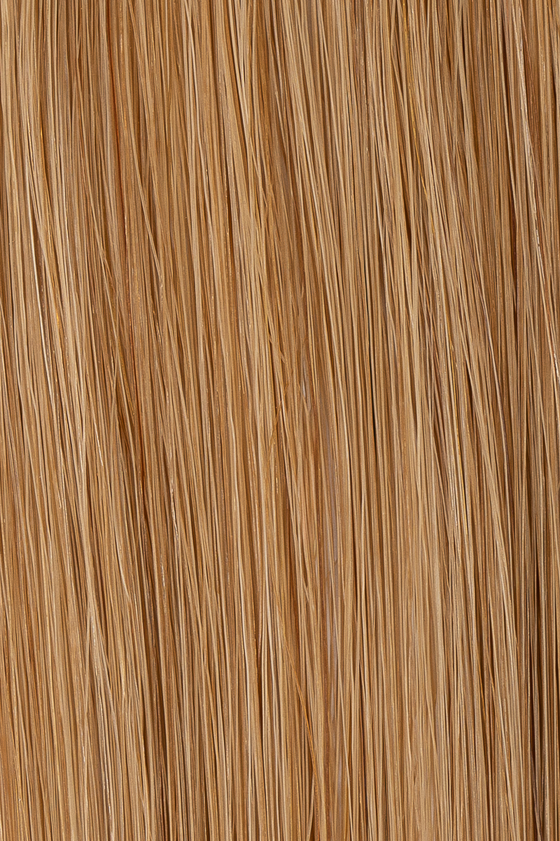 12 Golden Brown hair colour — Macro
